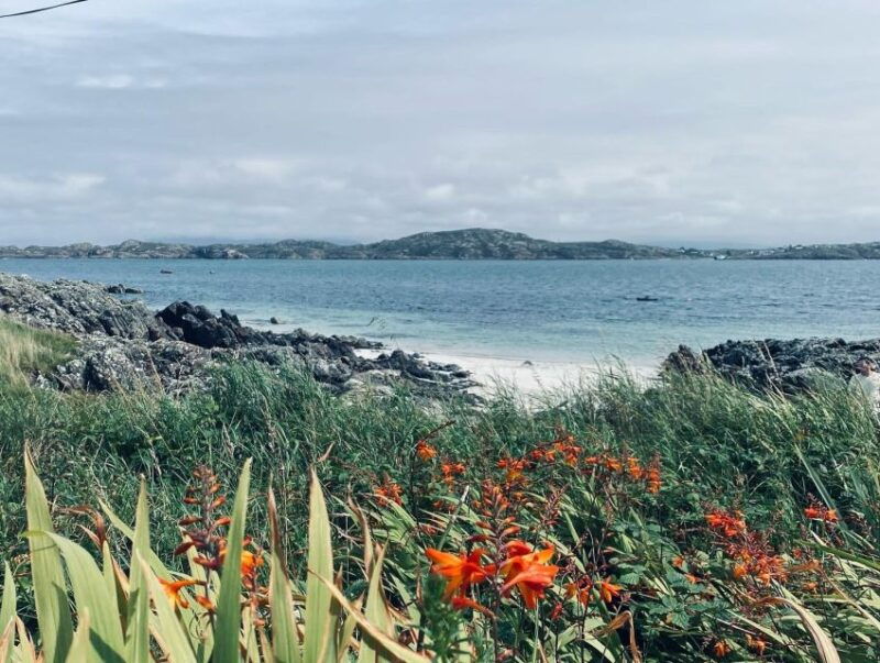 Oban: Isle of Mull and Iona Tour - What to Expect on the Day