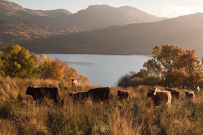 Oban Kilchurn Castle and Inveraray - Tips for Visiting Oban and Inveraray