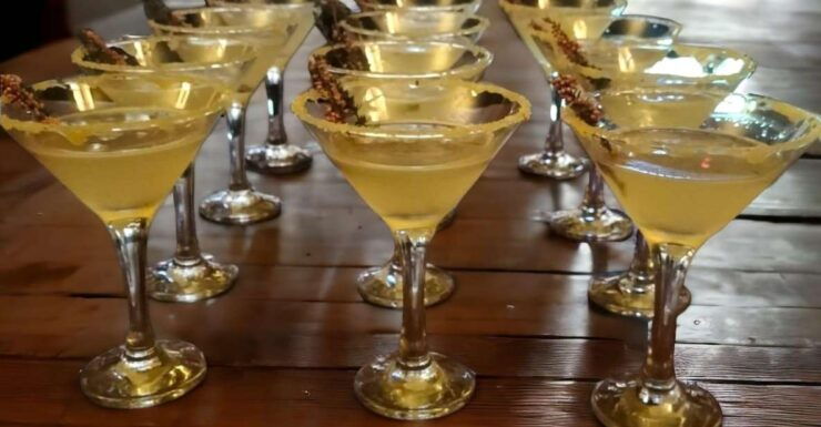 Oban: Scottish Gin & Cocktail Tasting Experience - Booking Details