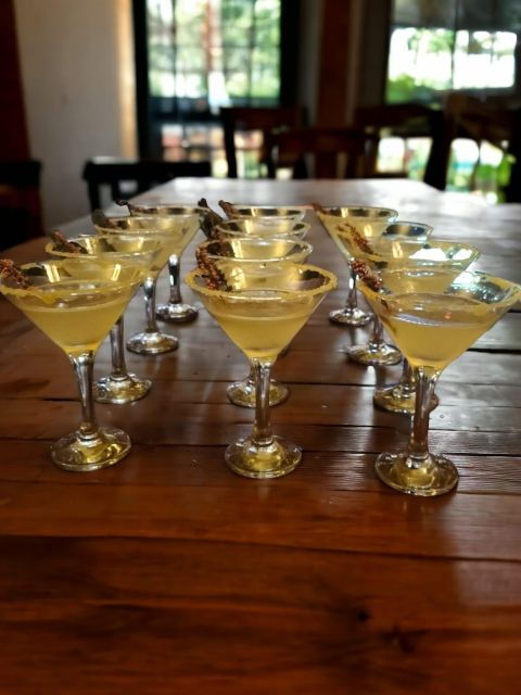 Oban: Scottish Gin & Cocktail Tasting Experience - Experience Highlights