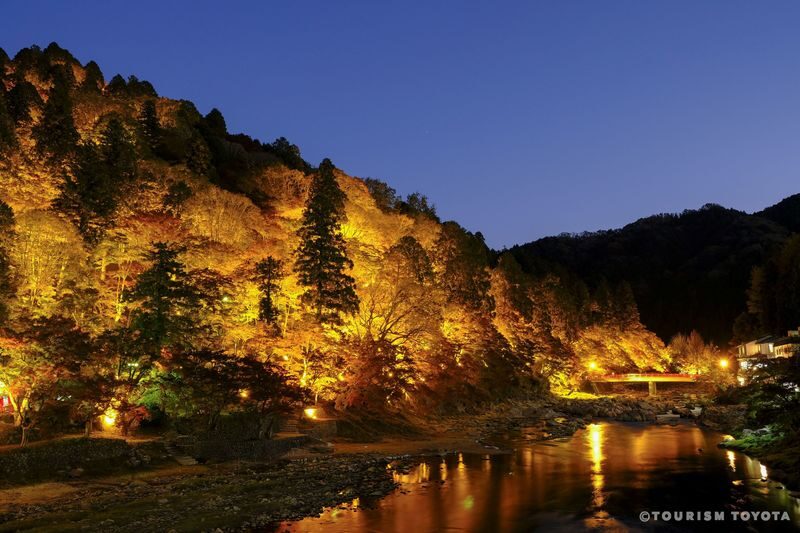 Obara Shikizakura and Korankei Light-up 1Day Bus Tour From Nagoya - Japanese-language tour with Pocket Talk support