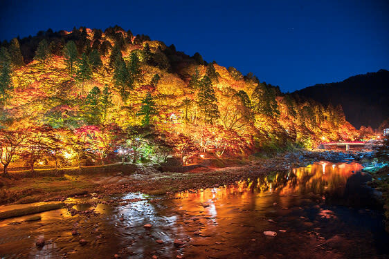 Obara Shikizakura and Korankei Light-up 1Day Bus Tour From Nagoya - Who should book this Nagoya autumn tour?
