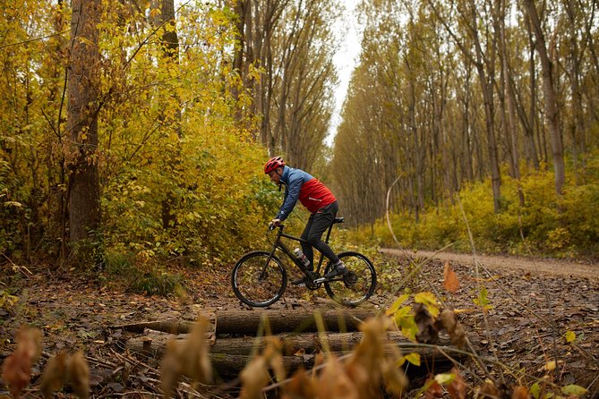 Obedska Bara Bike Tour - Meeting and Pickup