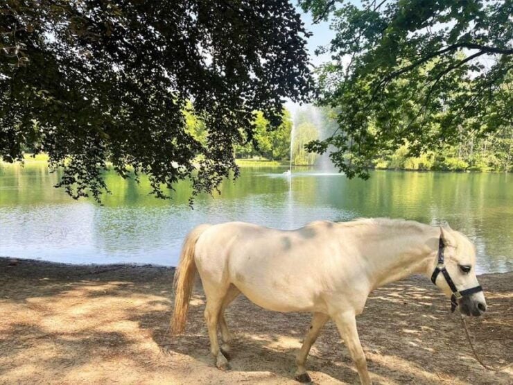 Oberhausen: Scavenger Hunt Around The Imperial Garden - Ticket Details and Pricing Information