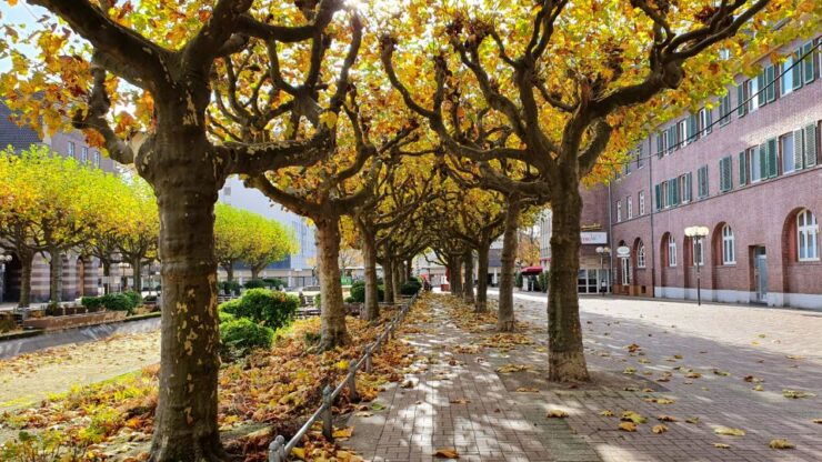 Oberhausen: Self-guided Walk to Explore the City Centre - Highlights of the Self-guided Walk