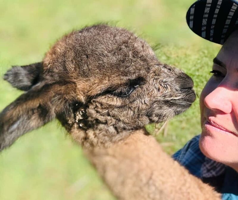 Oberon: Kenzell Farm Tour  A Hands-On Animal Adventure! - Good To Know