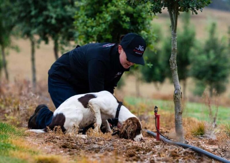 Oberon: Truffle Hunt and Tasting Experience - Final Thoughts: Who Will Love This Experience?