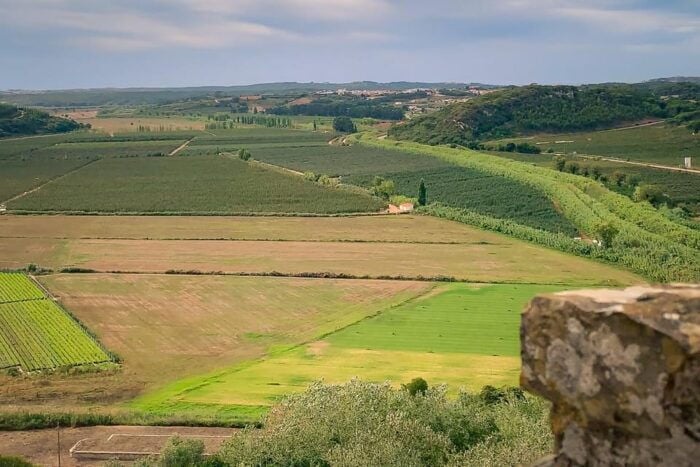 Óbidos: Flexible Walking Tour in Medieval Town - Who Is This Tour Best Suited For?