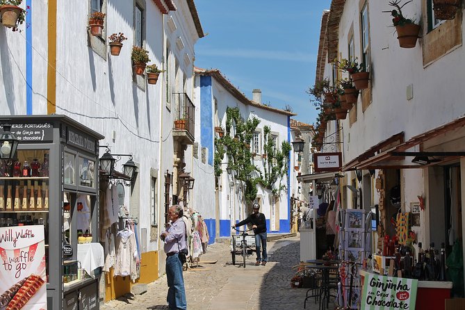 Óbidos Historic Village and Mafra Palace Private Tour - Tour Overview and Inclusions