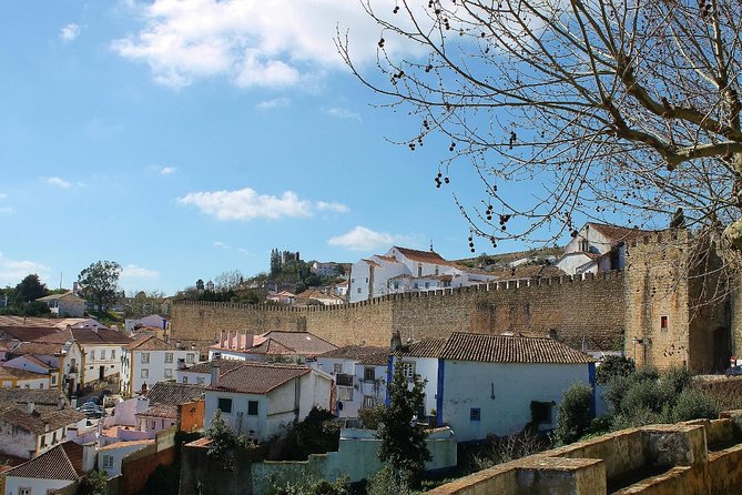 Óbidos Historic Village and Mafra Palace Private Tour - Positive Feedback and Reviews