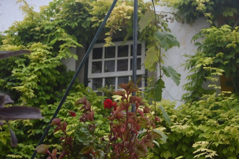 Óbidos: Medieval Tales & Secrets Spots Guided Walking Tour - In The Sum Up