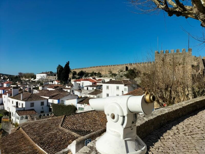 Óbidos (Medieval Town): Half-Day Private Tour from Lisbon - Who Should Consider This Tour?