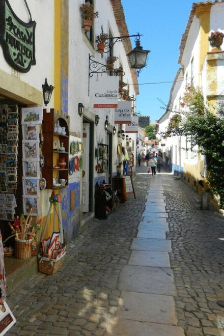 Óbidos Private Guided Walking Tour - Inclusions