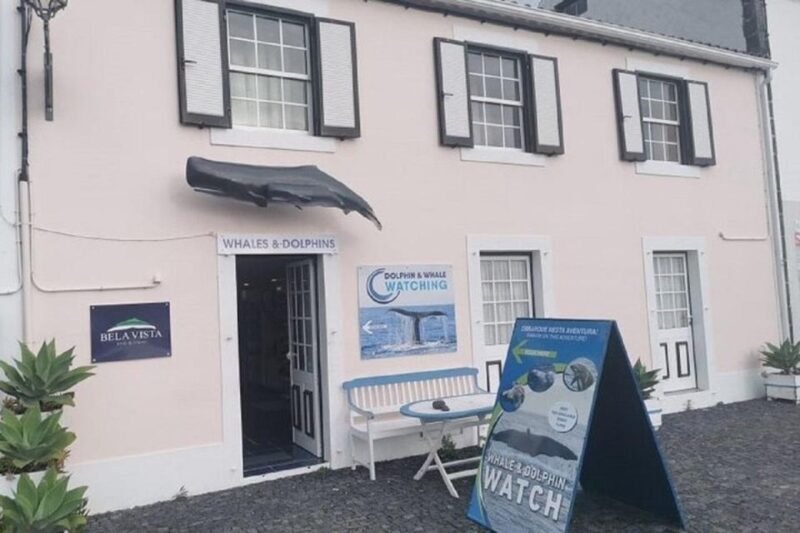 Observation of whales and dolphins in island Pico - Authentic Traveler Experiences and Insights