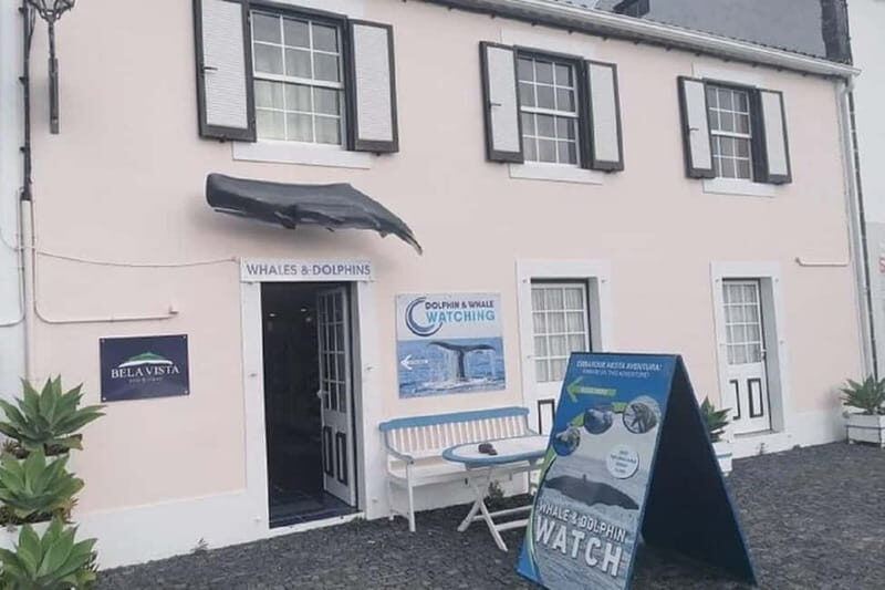 Observation of whales and dolphins in island Pico - FAQ