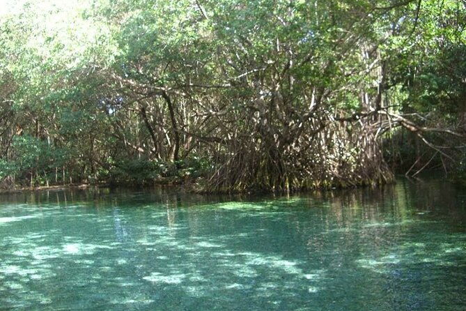 Occidental Grand Punta Cana - Round Trip Shuttle - Punta Cana Airport - Reviews