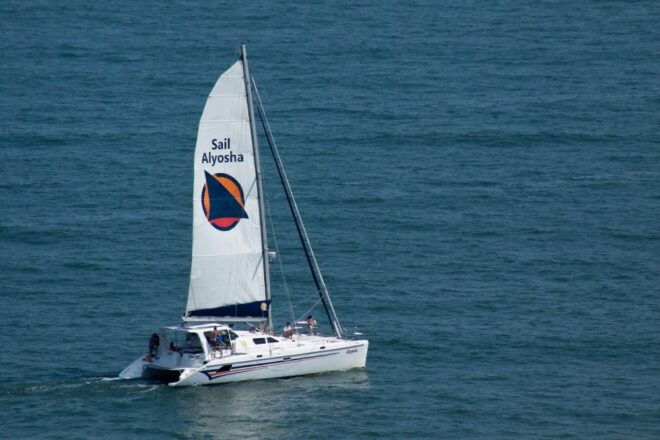 Ocean City: Assateague Island Morning Cruise - Sail on a Spacious Catamaran