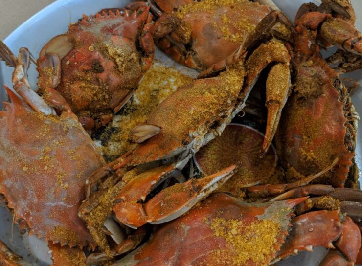 Ocean City: Downtown and Boardwalk Foodie Walking Tour - Activity Details