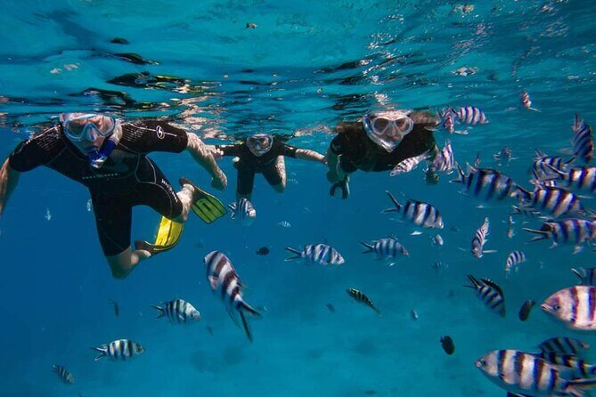 Ocean Discovery and Snorkelling in Tahiti - Good To Know