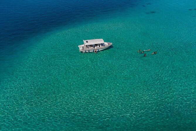 Ocean Discovery and Snorkelling in Tahiti - An Ideal Introduction to Tahiti’s Marine Life