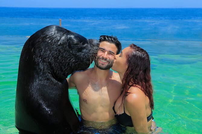 Ocean Mania Water Park - Expectations and Restrictions