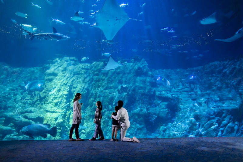 Ocean Park Full-Day Adventure with Transfers & Tickets - Making a day of Ocean Park