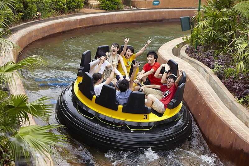 Ocean Park Full-Day Adventure with Transfers & Tickets - Meals, coupons, and small print