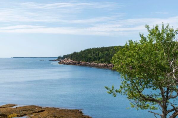 Ocean Path: Acadia Self-Guided Walking Audio Tour - Background