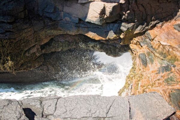 Ocean Path: Acadia Self-Guided Walking Audio Tour - Frequently Asked Questions