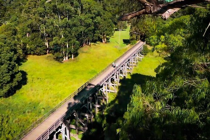 Ocean Road Scenic Bicycle Ride in Port Campbell or Timboon - What’s Included and Additional Info