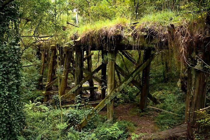 Ocean Road Scenic Bicycle Ride in Port Campbell or Timboon - The Value of the Experience