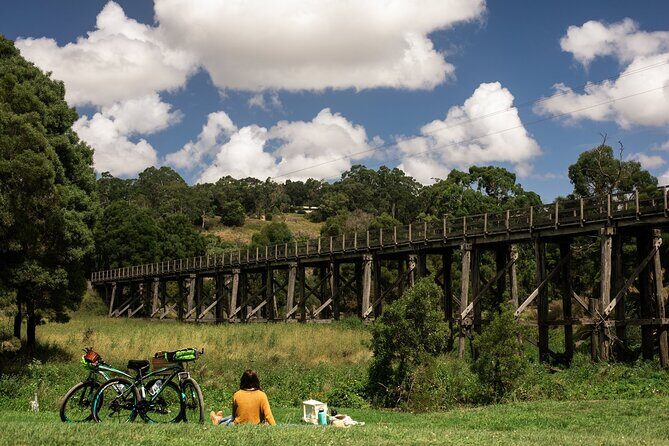 Ocean Road Scenic Bicycle Ride in Port Campbell or Timboon - Who Would Love This Tour?