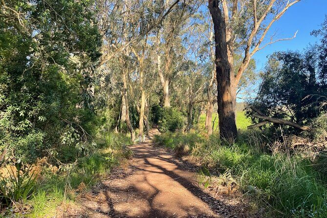 Ocean Road Scenic Bicycle Ride in Port Campbell or Timboon - Final Thoughts