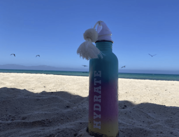 Ocean Safari in La Ventana BCS - Safety Assurance
