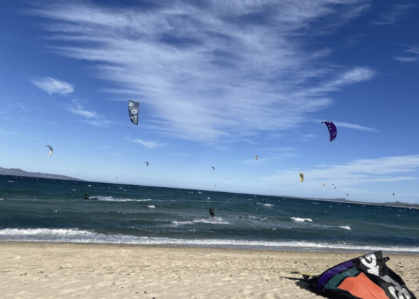Ocean Safari in La Ventana BCS - Frequently Asked Questions