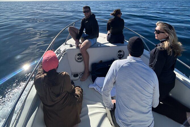 Ocean Safari in San Jose del Cabo - Potential Drawbacks to Consider