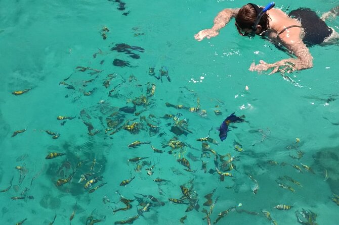 Ocean Sea Cruise MUSANDAM KHASAB - Sultanate of Oman - Common Questions