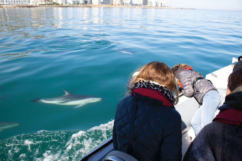 Ocean Wildlife Encounter - What to know before you book