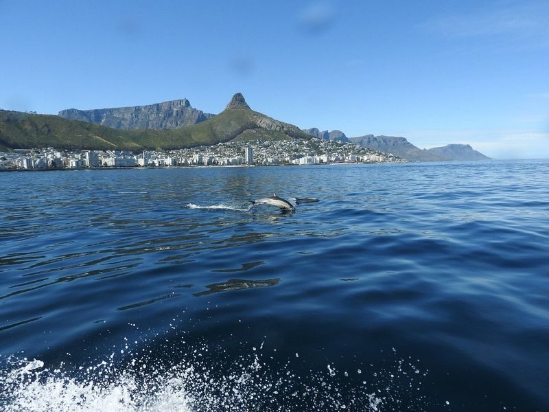 Ocean Wildlife Encounter - Is the price worth it?