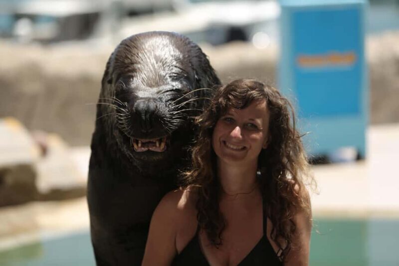 Ocean World Dolphin Swim & Sea Lion Combo from Puerto Plata - Good To Know