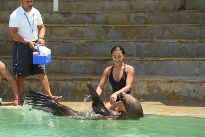 Ocean World Dolphin Swim & Sea Lion Combo from Puerto Plata - What to Expect from the Ocean World Dolphin & Sea Lion Combo