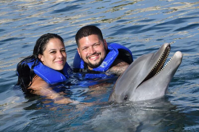 Ocean World Dolphin Swim & Sea Lion Combo from Puerto Plata - The Experience’s Value: Is It Worth It?