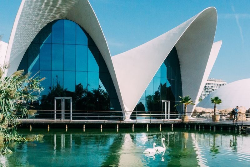 Oceanografic Aquarium Admission in Valencia - Key things to know before you go