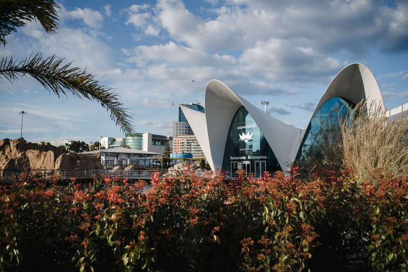 Oceanografic Aquarium Admission in Valencia - Is advance booking worth it?
