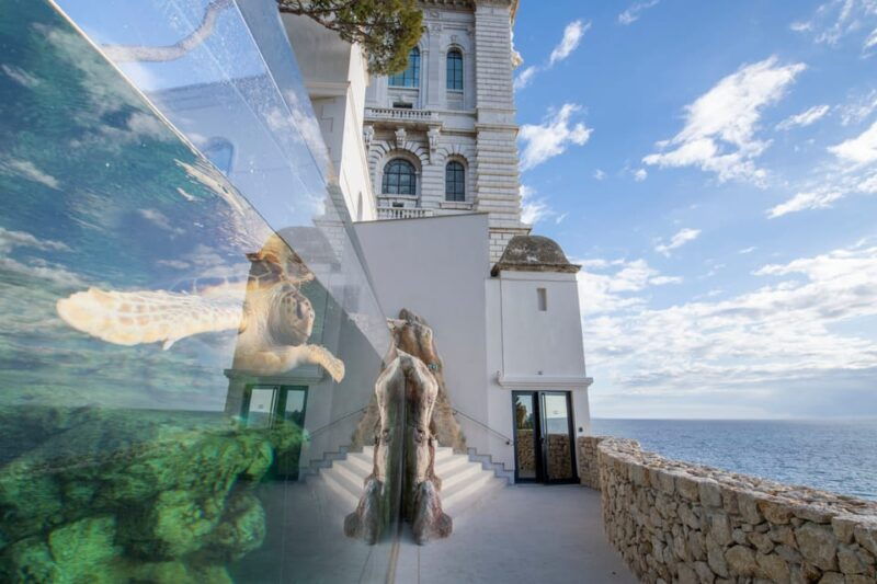 Oceanographic Museum of Monaco Ticket - Good To Know