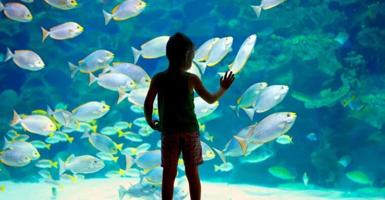 Oceanographic Museum of Monaco Ticket - What Visitors Are Saying