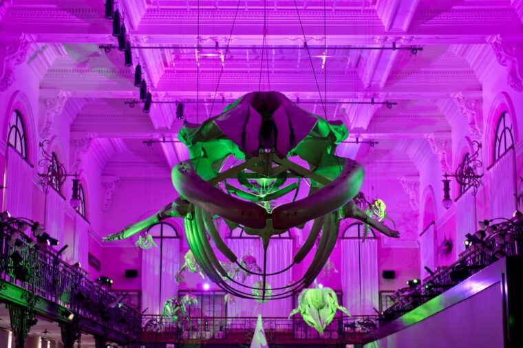 Oceanographic Museum of Monaco Ticket - FAQ