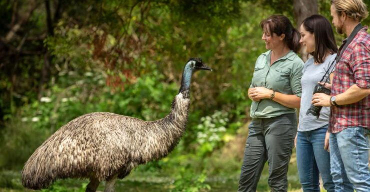 Oceans to Mountains Explorer: 3-Day Great Ocean Road Tour - Tour Experience