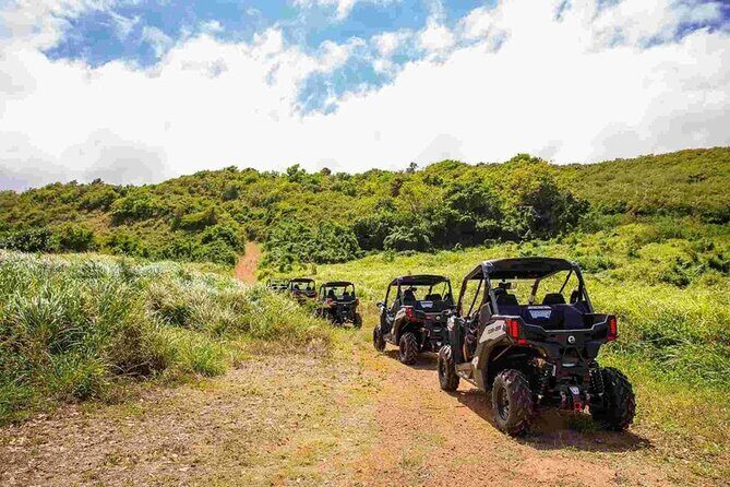 Oceanview Offroad UTV Tour in Fajardo Puerto Rico - An In-Depth Look at the UTV Tour Experience