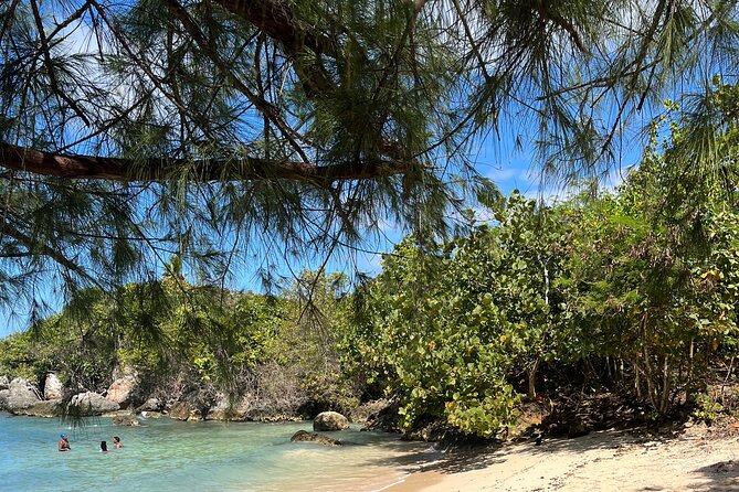 Ochi Rios Beach Day With Jerk Chicken Lunch - Jerk Chicken Lunch Details